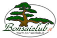 bonsaiclub.it