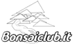 Logo Bonsaiclub.it