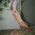 T. Cuspidata - G. Ronga