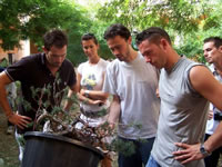 bonsai giareda